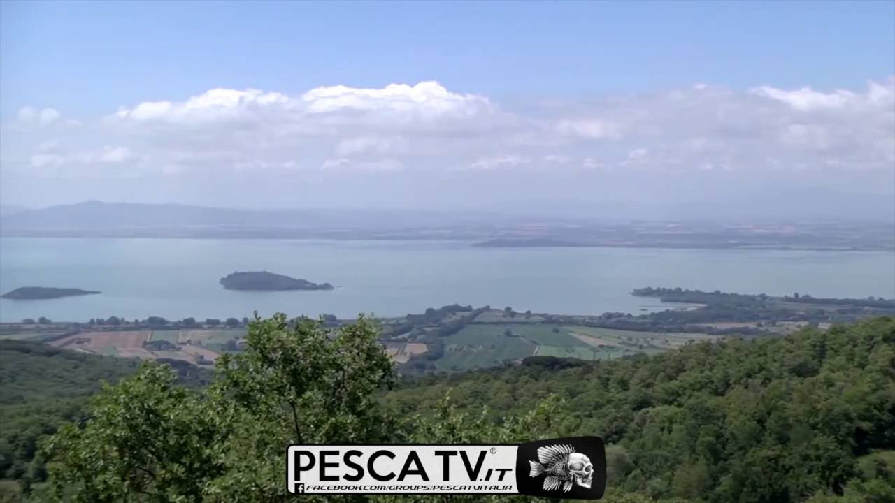 Come pescare con il pasturatore sul Lago Trasimeno, in Umbria