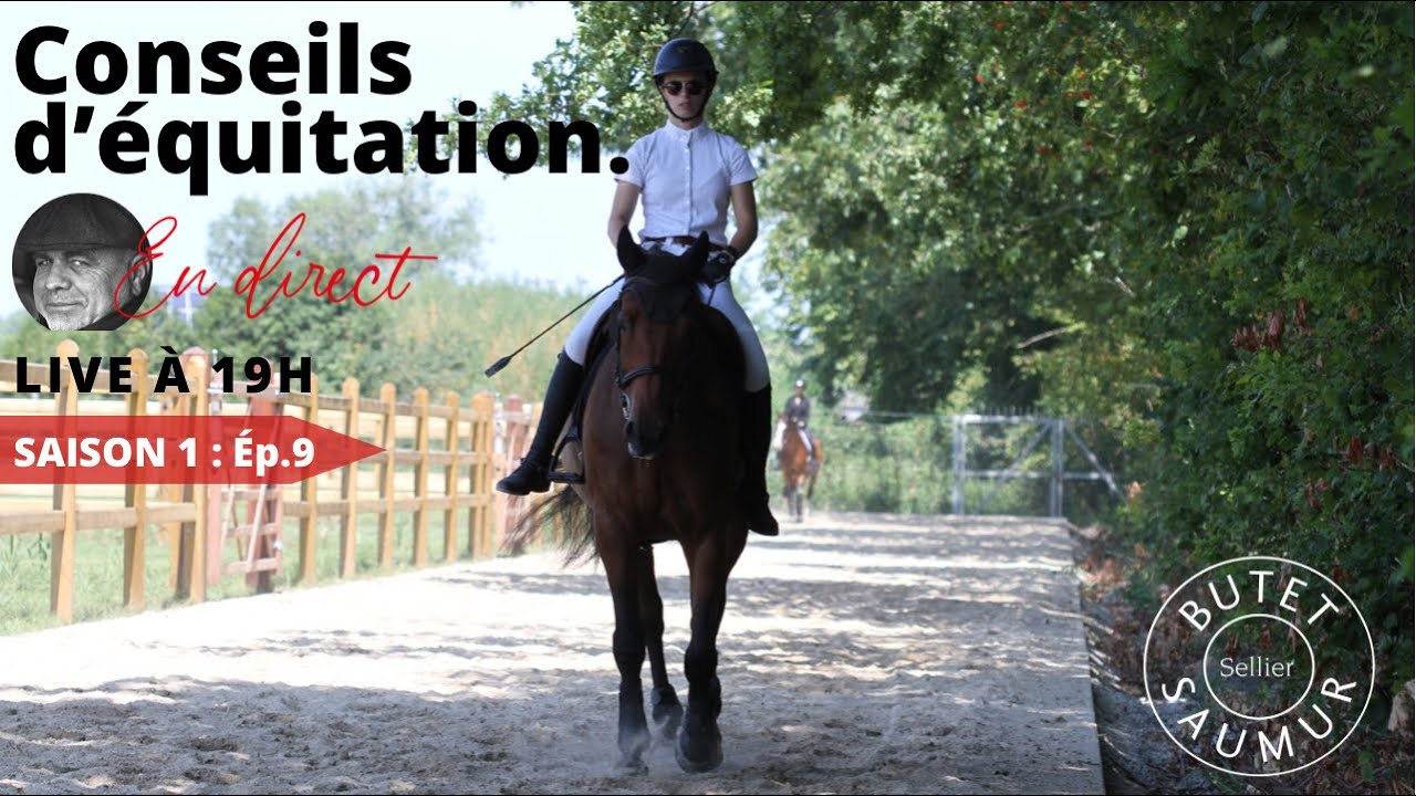 COACH EN DIRECT 6 barres pour améliorer la confiance et le style de votre cheval à l'obstacle