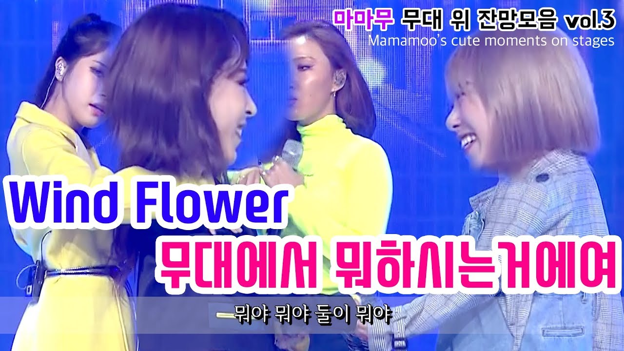 마마무는 무대에서.......? 무대 잔망 모음_3탄_Wind flower (Mamamoo's cute moments on stages_Wind Flower)