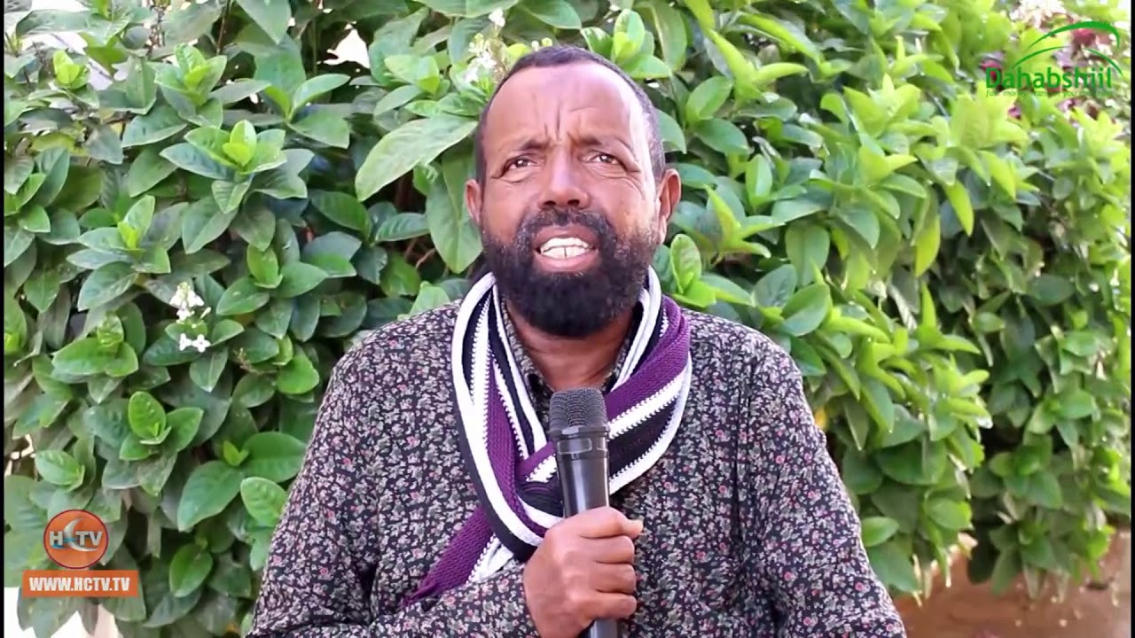Puntland: Waxqabadka Maamulka Degmada Bandarbayla.