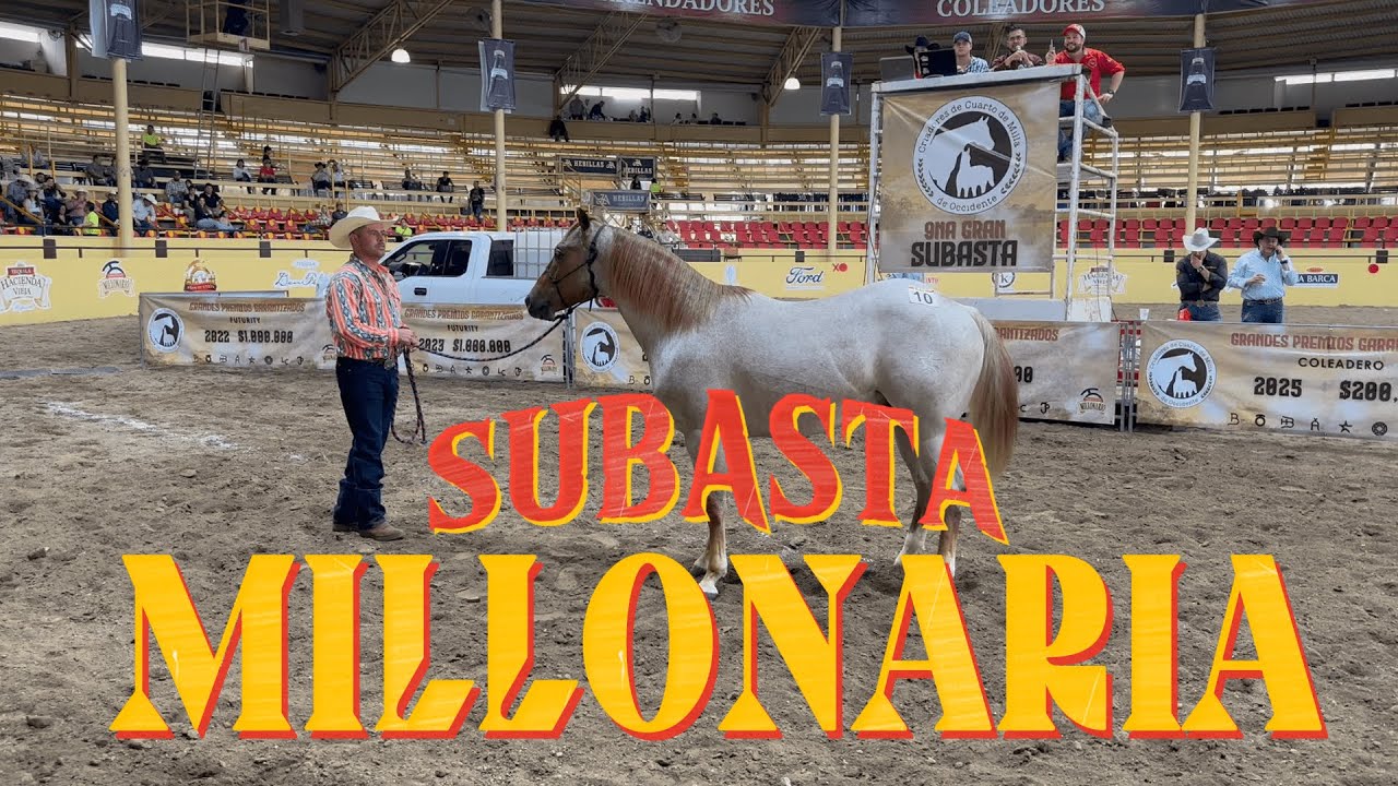 SUBASTA de caballos MILLONARIA 2024 !! - Campeonato Millonario