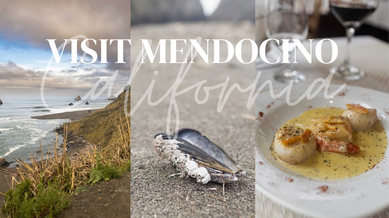 WHAT TO SEE ON THE MENDOCINO COAST