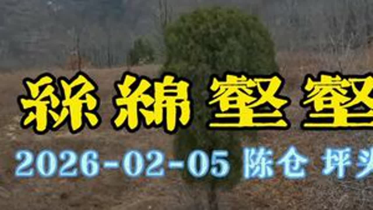 丝绵壑壑