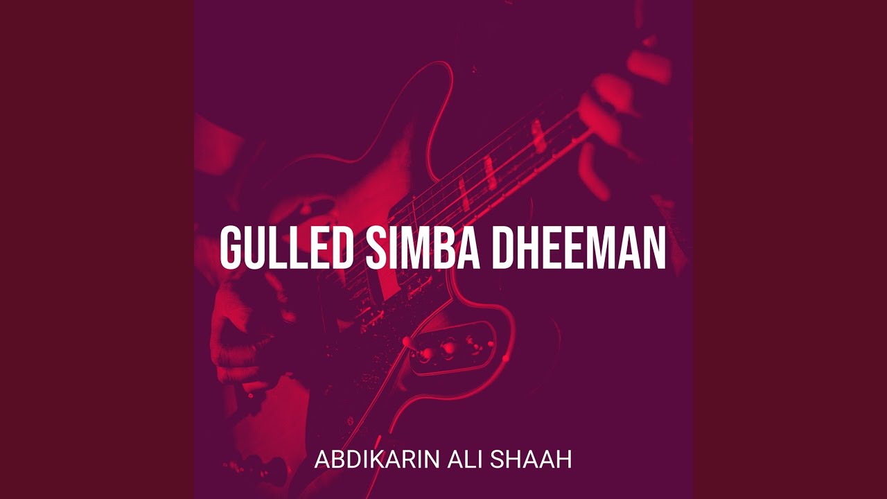 Gulled Simba Dheeman