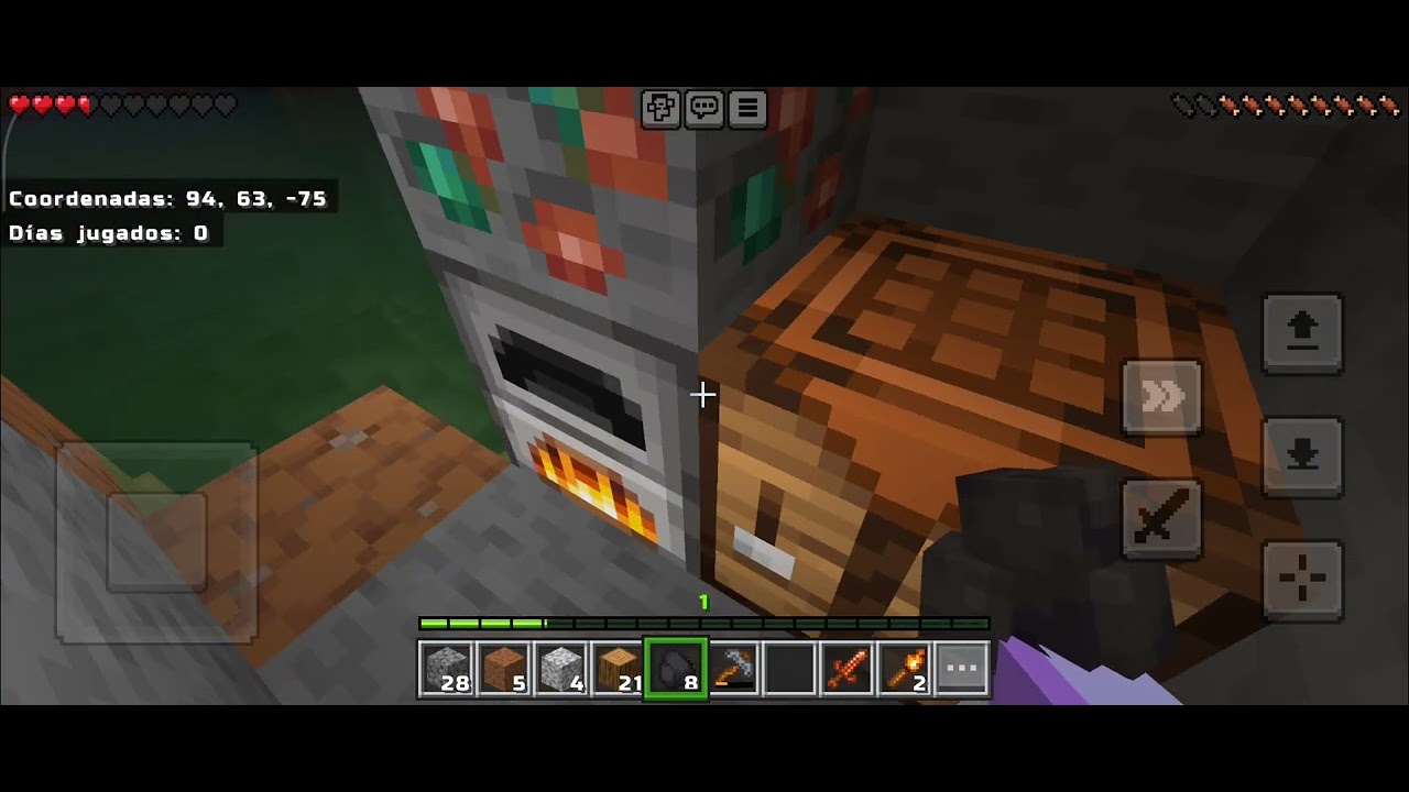 Primer video de Minecraft