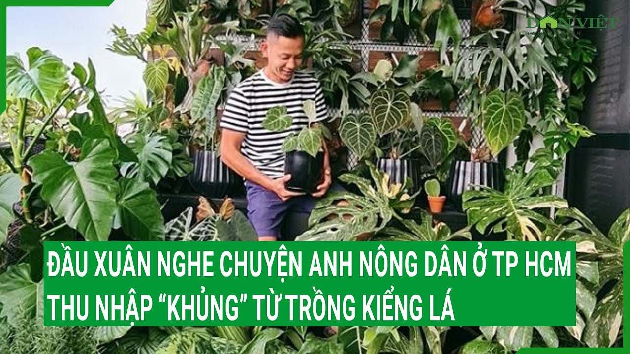 Đầu xuân nghe chuyện Anh nông dân ở TP HCM thu nhập “khủng” từ trồng kiểng lá