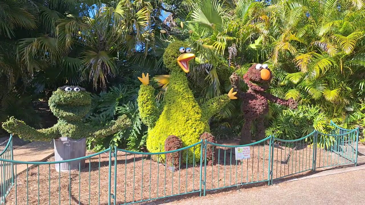Drive Around Busch Gardens Tampa