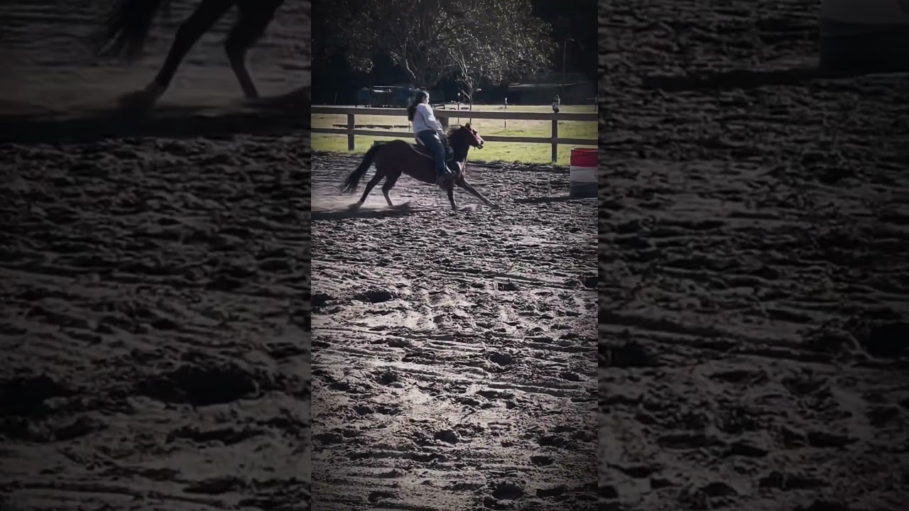 I look so ridiculous on flicka😭😭 @IrelandK.performancehorses