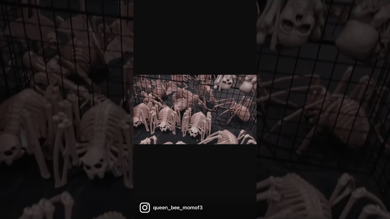 Skeleton fun