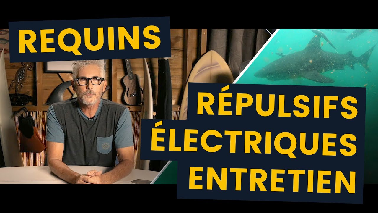 Sécurité Requin : entretien du Shark Shield, un répulsif électrique pour réduire le risque requin