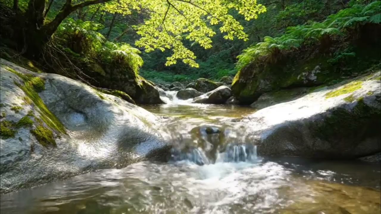 Soothing Relaxation and Water Sounds Meditation, Focus, Deep Sleep - Calming Music for Anxiety