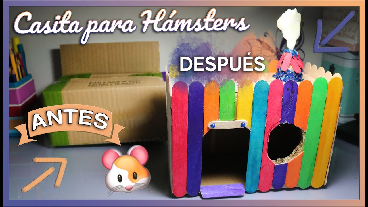DIY Casita para HÁMSTER de madera y caja de cartón | MOA's World