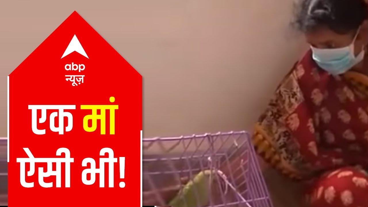 A mother who did not forget her pet parrot amid Cyclone Yaas | #Shorts