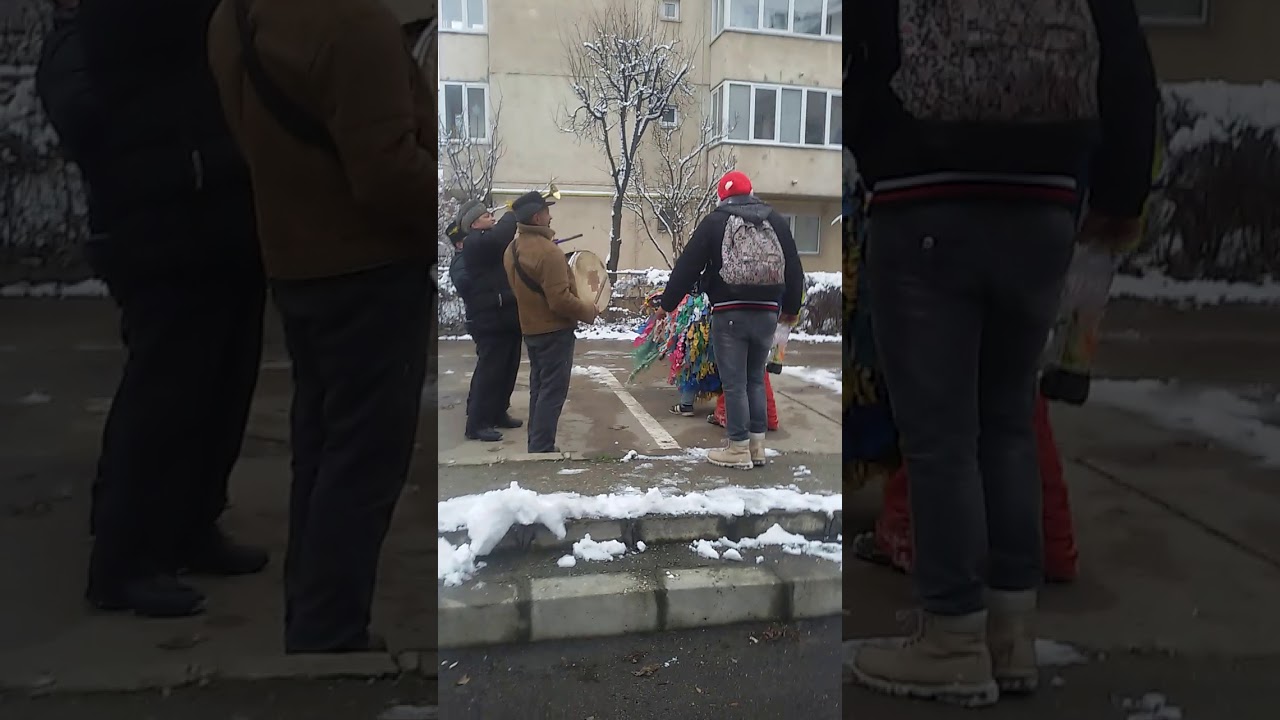 Capra din Berzunti in Brasov