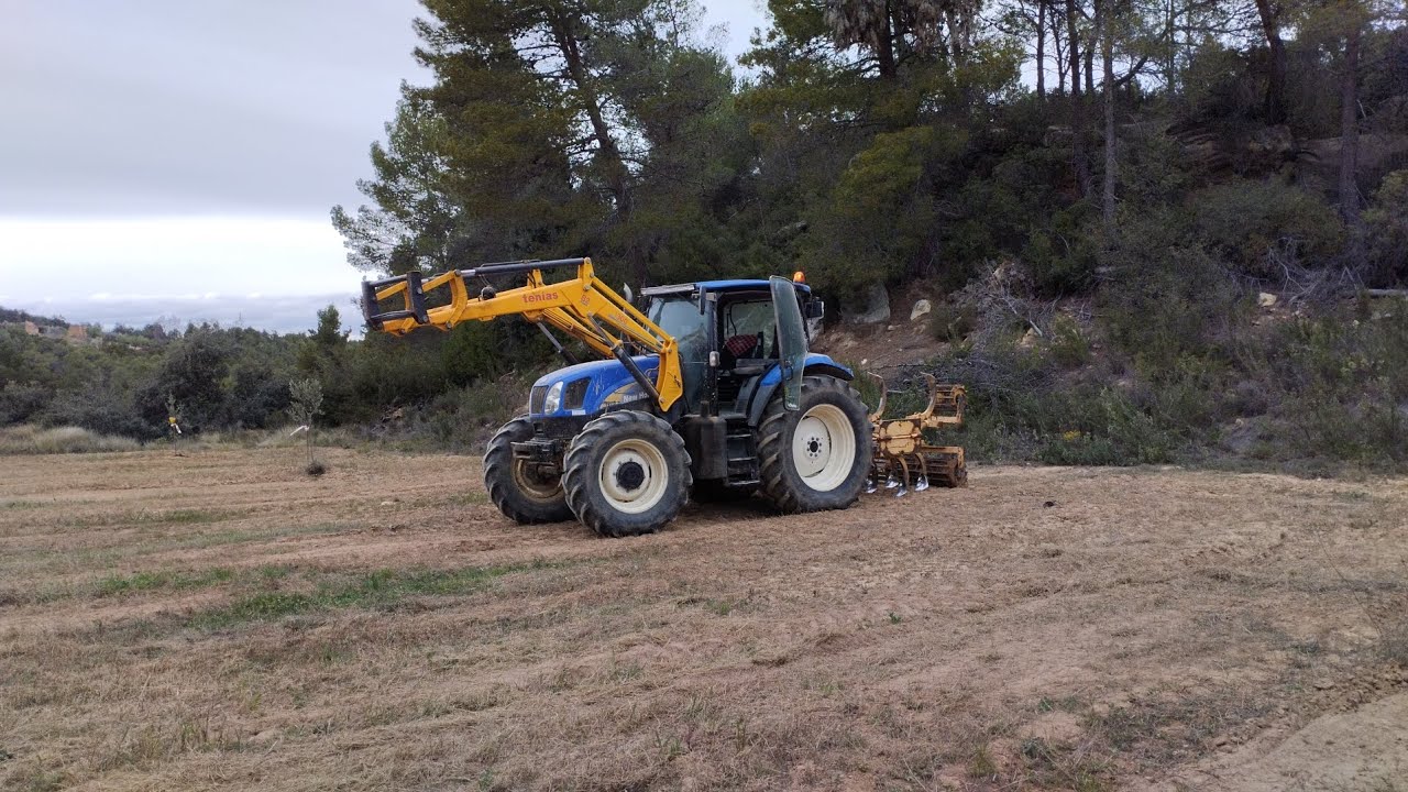 labrando olivos 2024 New Holland TS115A
