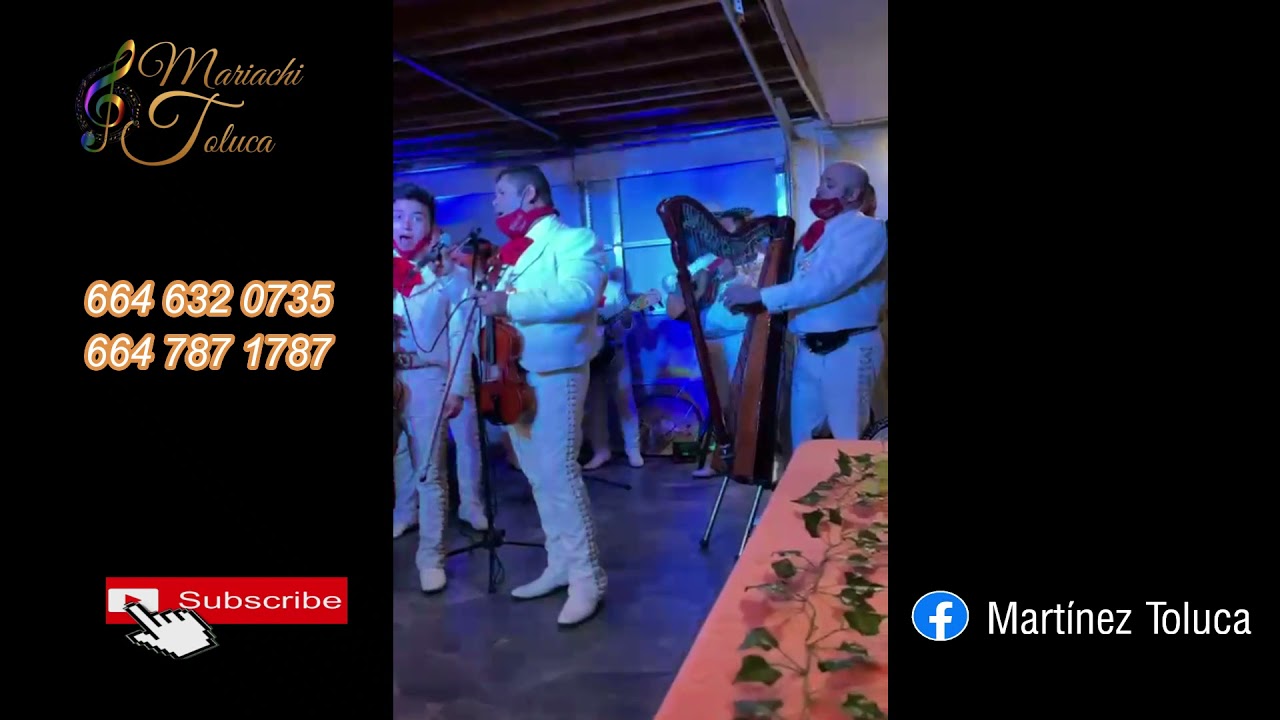 3 REGALOS / MARIACHIS EN TIJUANA / SERENATAS CON MARIACHI / MARIACHI TOLUCA