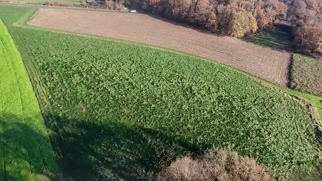 Mobula 7 O4