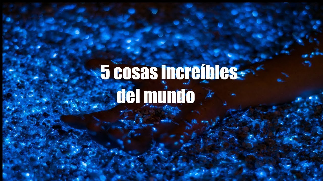 tops 5 cosas incre&iacute;bles del mundo