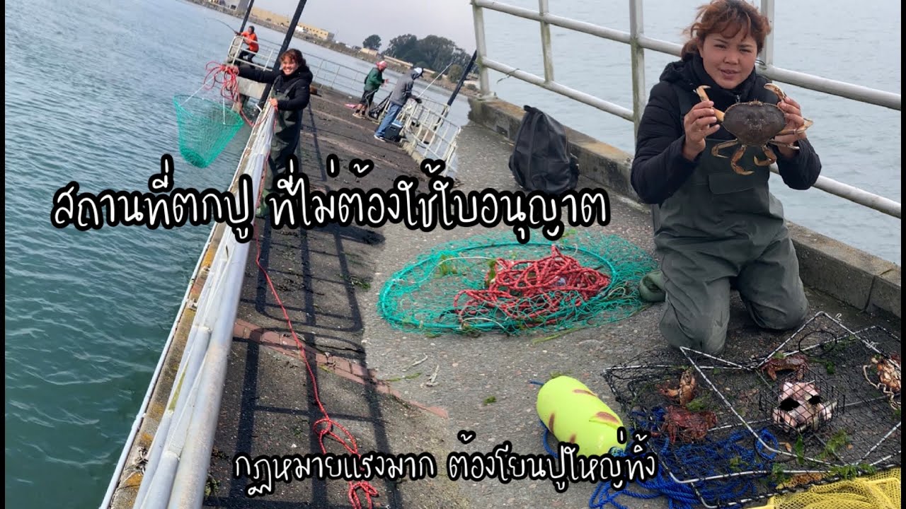 EP.74 กฏหมายอเมริกาแรงมาก ได้ปูเยอะ แต่จำใจต้องโยนทิ้ง ท่าเรือที่หาปูได้แบบง่ายๆ ไม่ต้องใช้ใบอนุญาต