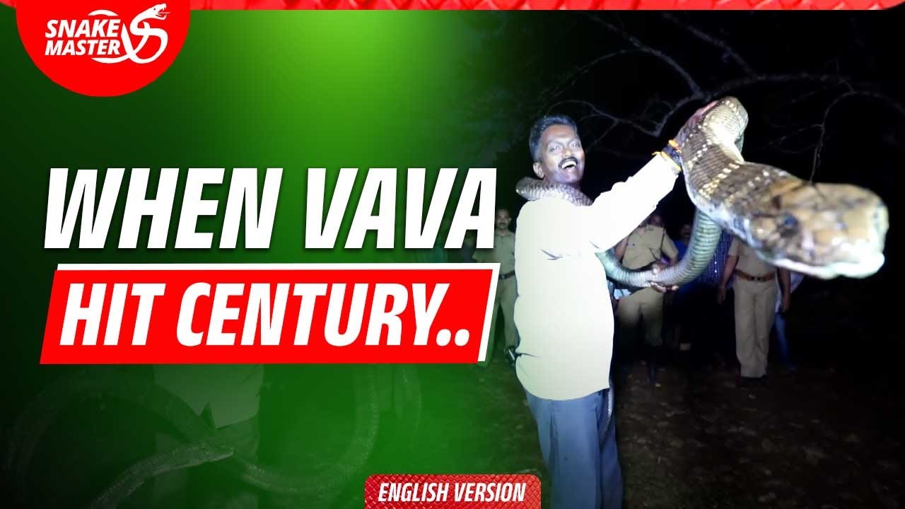 EP 41 | 100th King Cobra Rescue! | Vava Suresh&rsquo;s Milestone Rescue | Snake Master