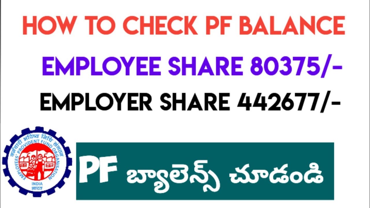 How to check PF balance in Telugu