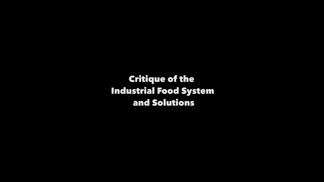 Critique of the Industrial Food System and Solutions