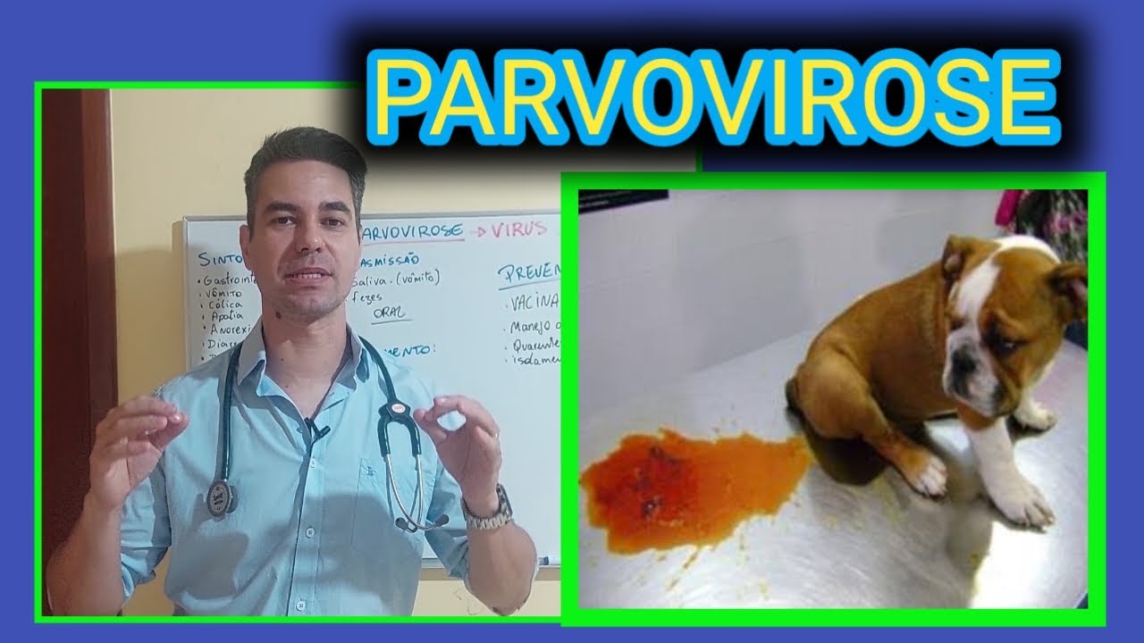 PARVOVIROSE