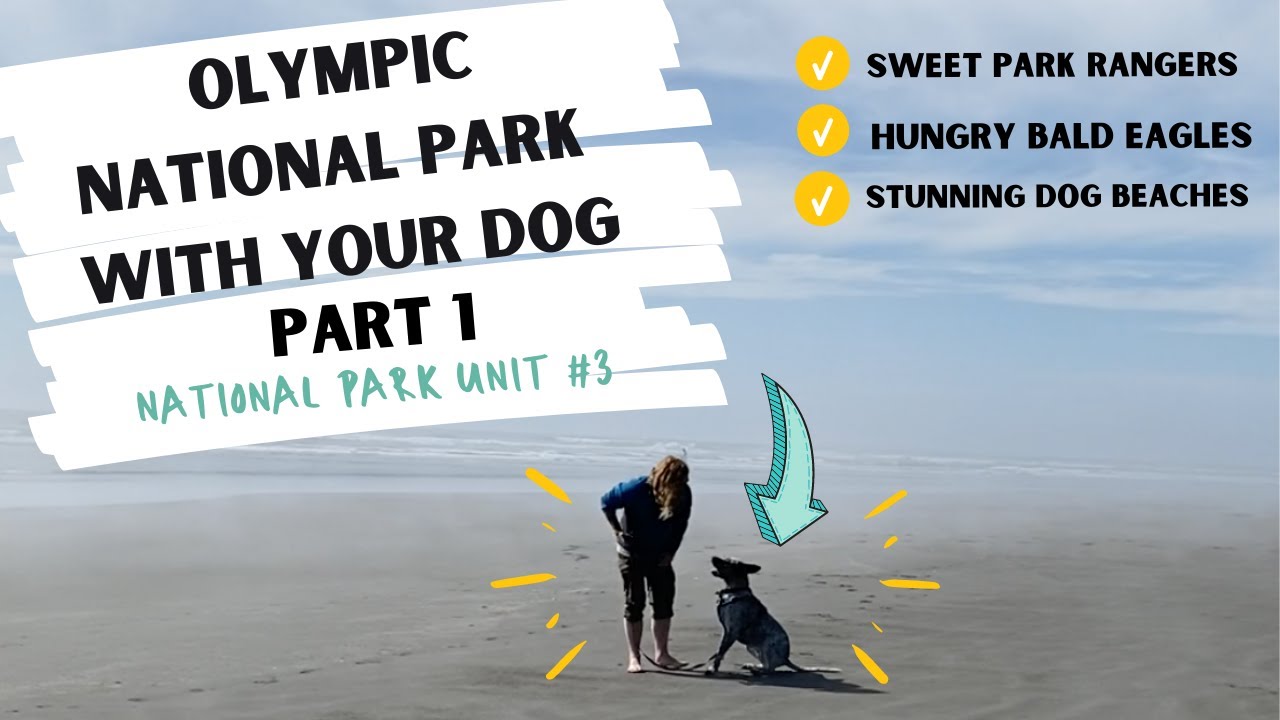 Olympic National Park with a Dog | Part 1