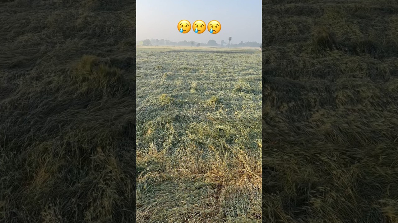 #farmerlife