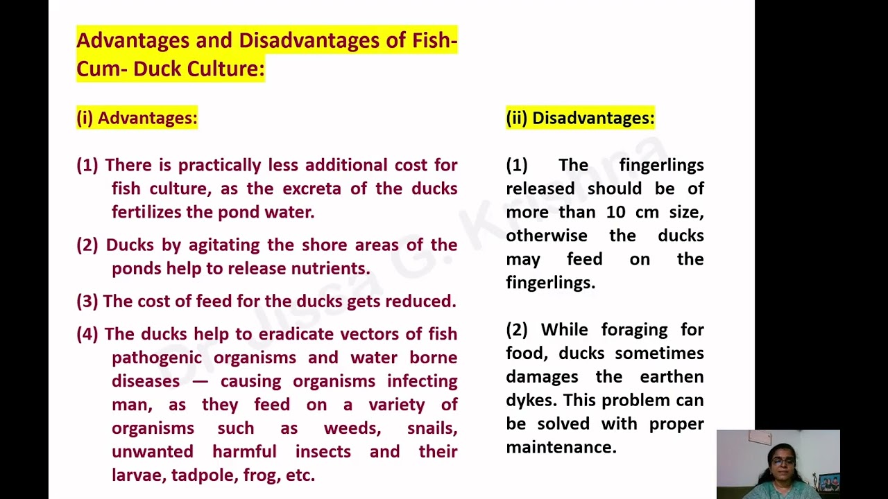 Integrated Fish Farming