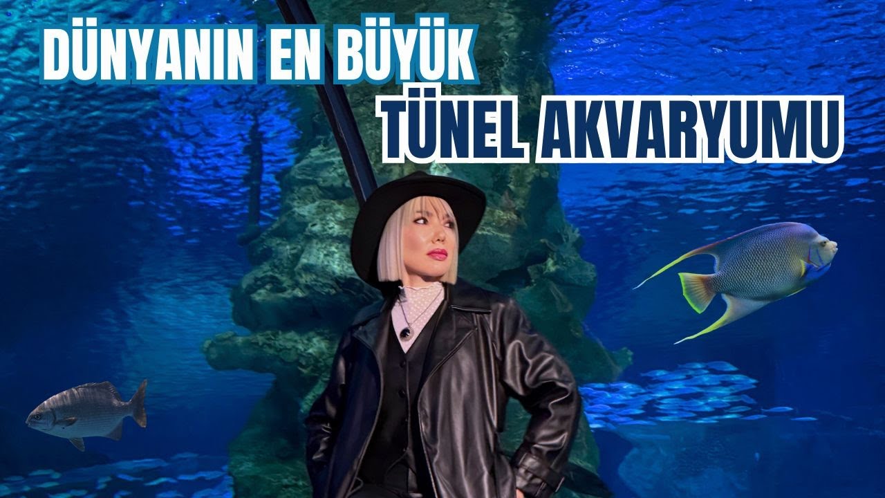 7,5 Milyon litre su, 10 BİN balık türü bu akvaryumda