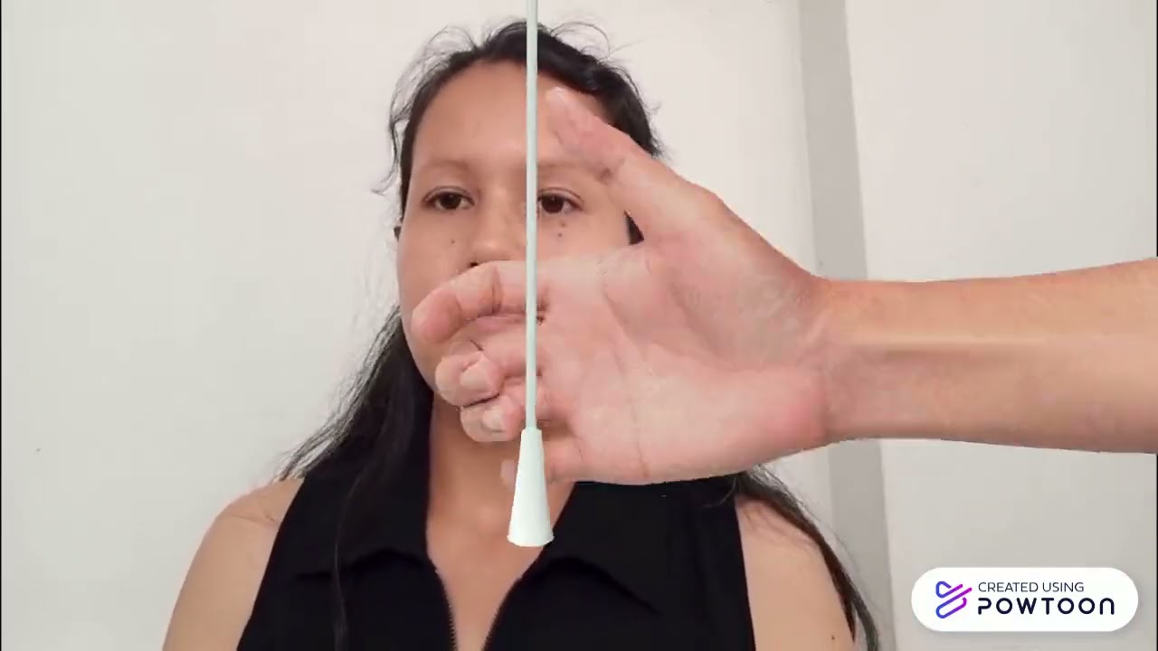 CONSEJO ESTUDIANTIL