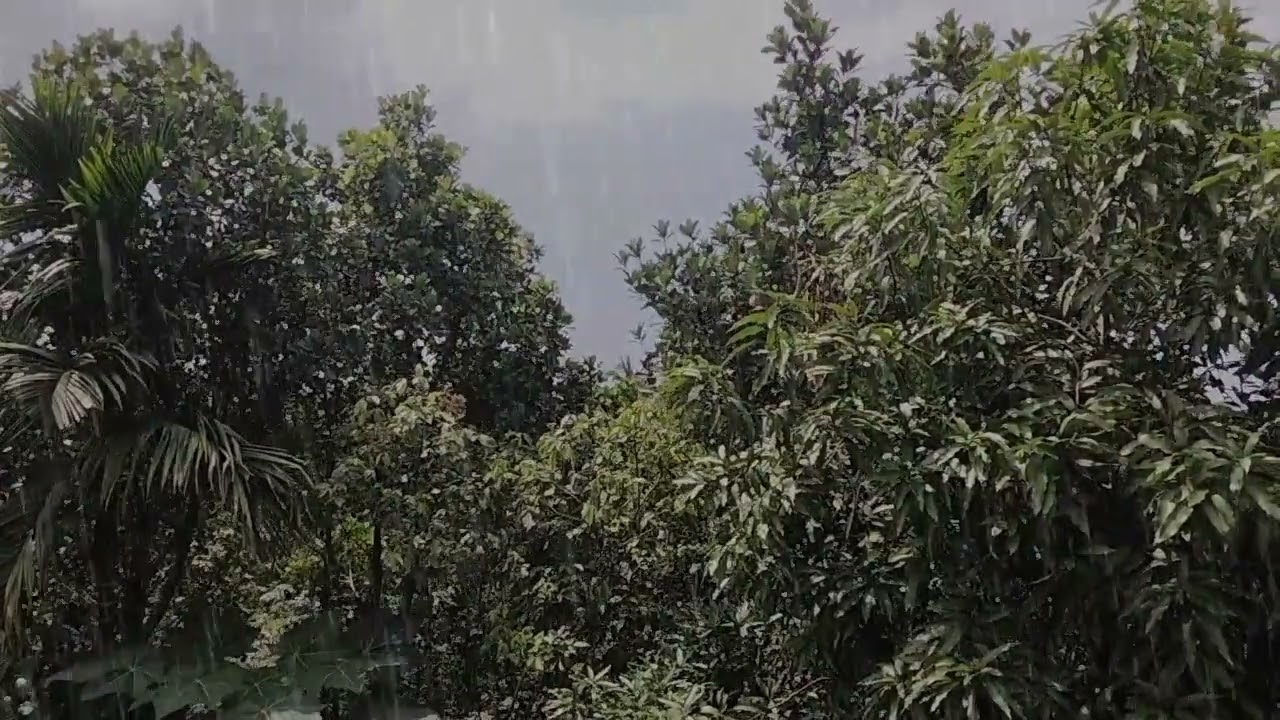relax your mind with rain and thunder sounds | rain sounds