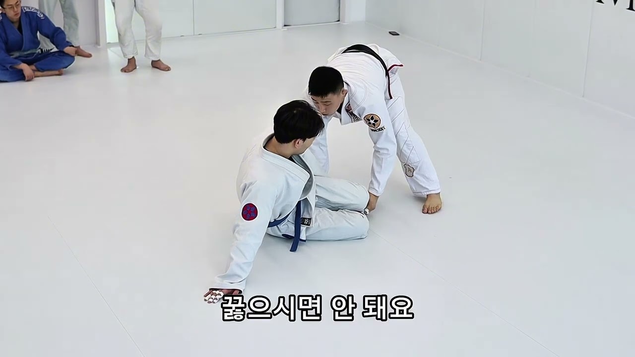 주짓수 국대 1위 김정철 선수 토레안도 패스 Tip 1탄