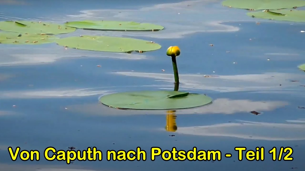 Wandern im Land Brandenburg: Von Caputh nach Potsdam (Teil 1/2)