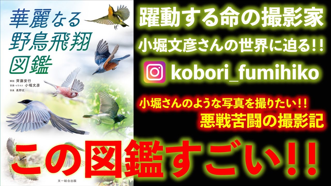 躍動する命の撮影家 小堀文彦さんの世界に迫る！！