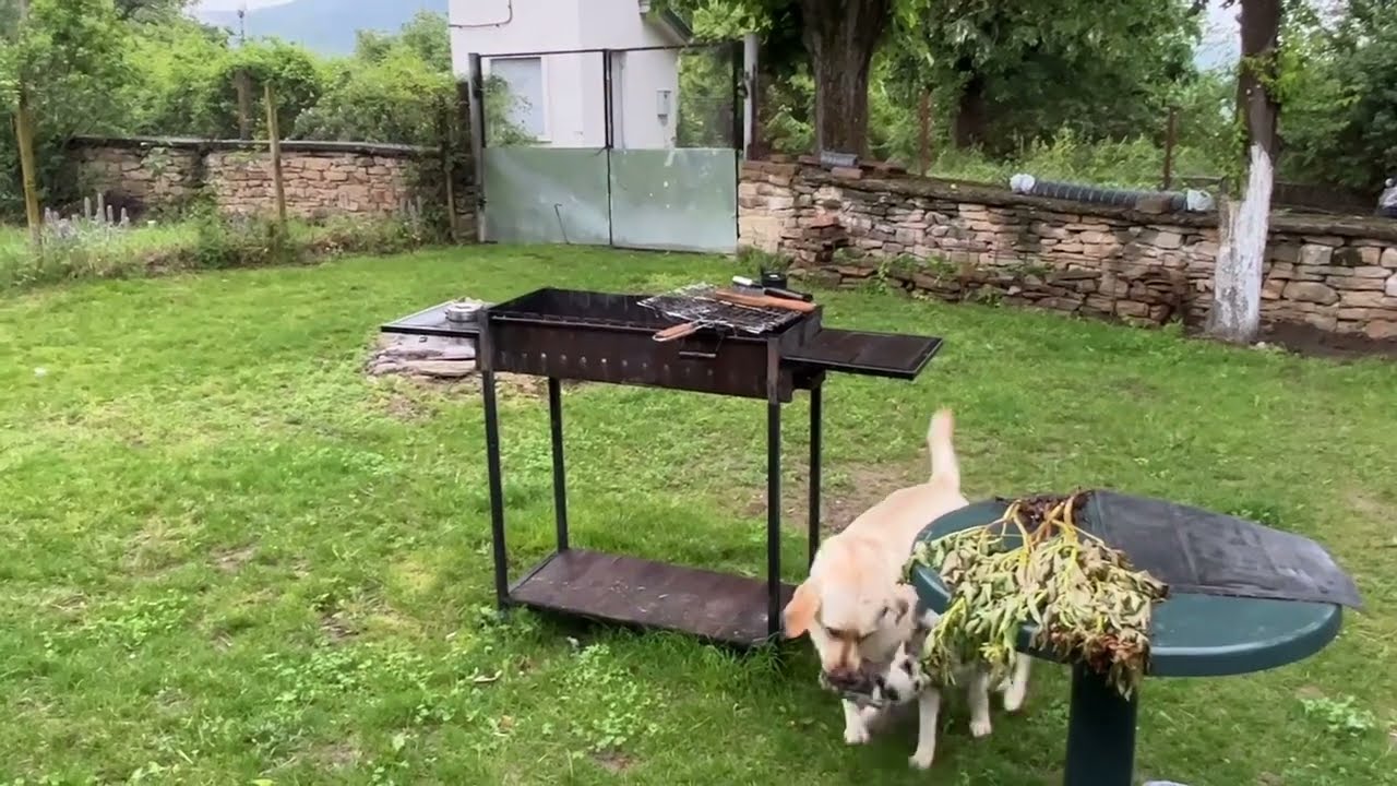 Самый лучший день. Утро в болгарском селе Скалско.Машина на газу.