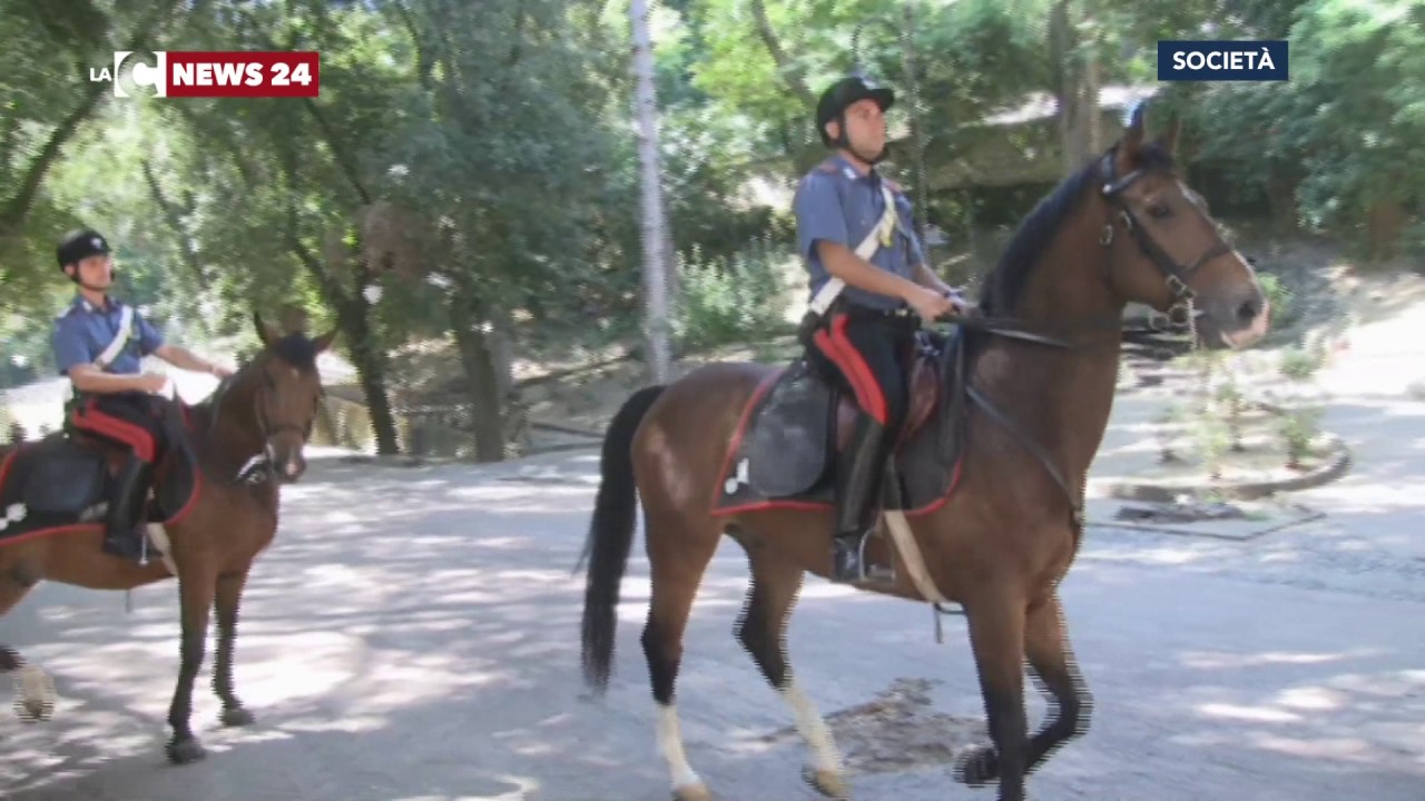 Cosenza, ecco i carabinieri a cavallo