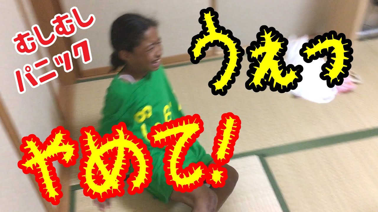 小さな虫で家中パニック‼️中1姉が撮影！本気で格闘する小3妹の結末が…ww