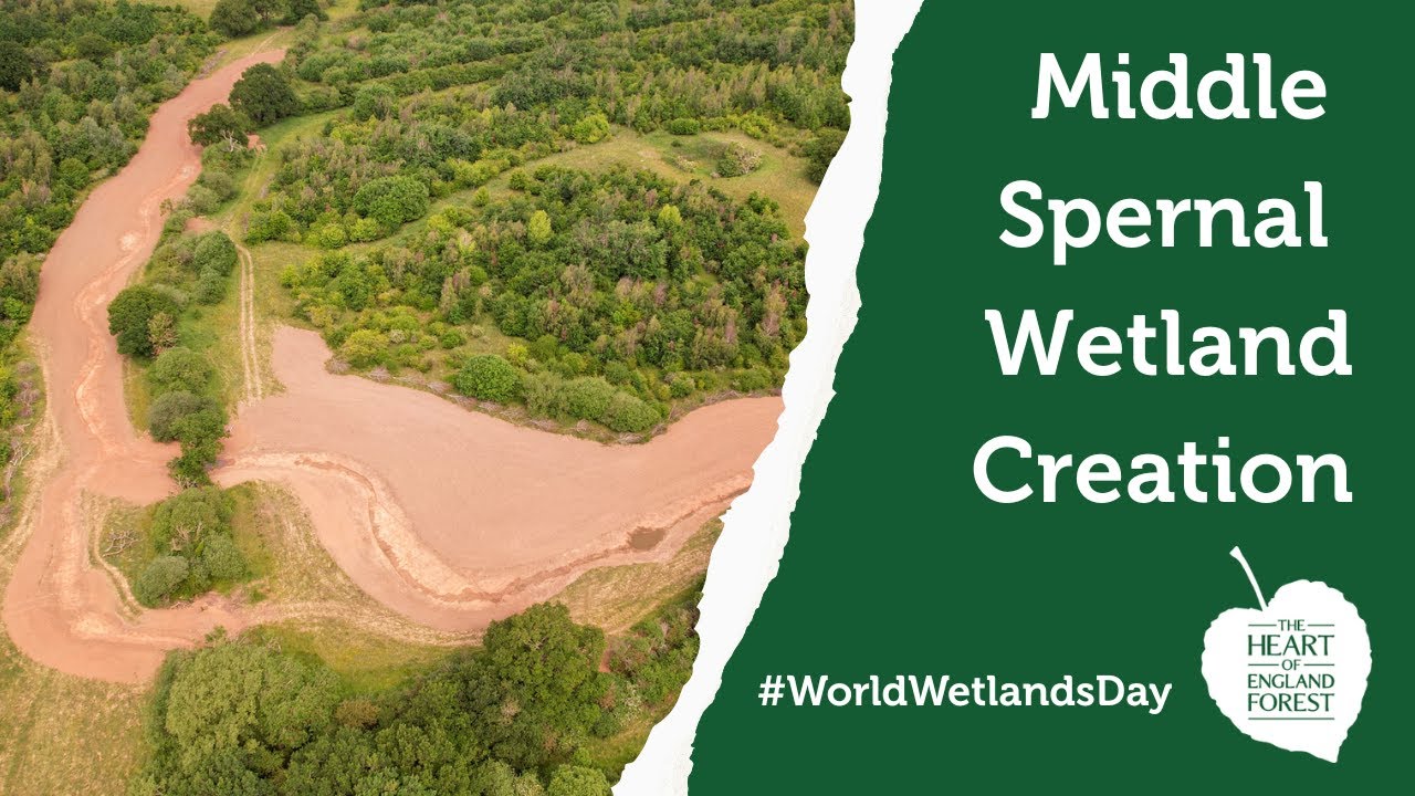 Middle Spernal Wetland Creation #WorldWetlandDay