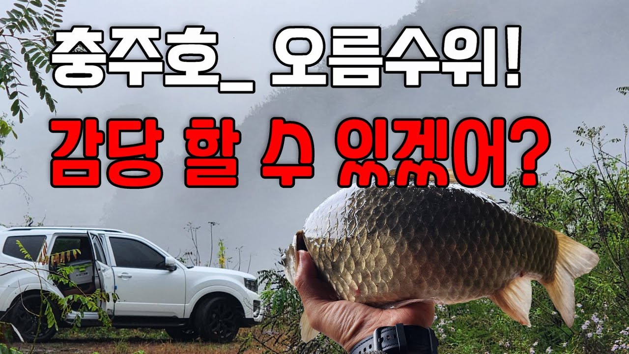 245회 충주호 오름 수위 감당 할 수 있겠어?/손맛에 캠핑뷰는 또 얼마나 좋은지!!/붕어낚시/대한민국 낚시계 최초 드론 항공촬영/풍경과 음악이 있는 낚시여행