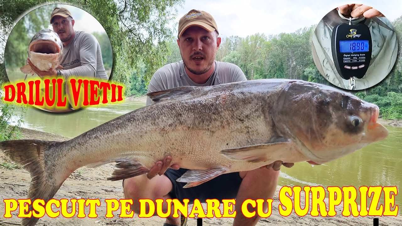 PESCUIT PE DUNARE CU SURPRIZE
