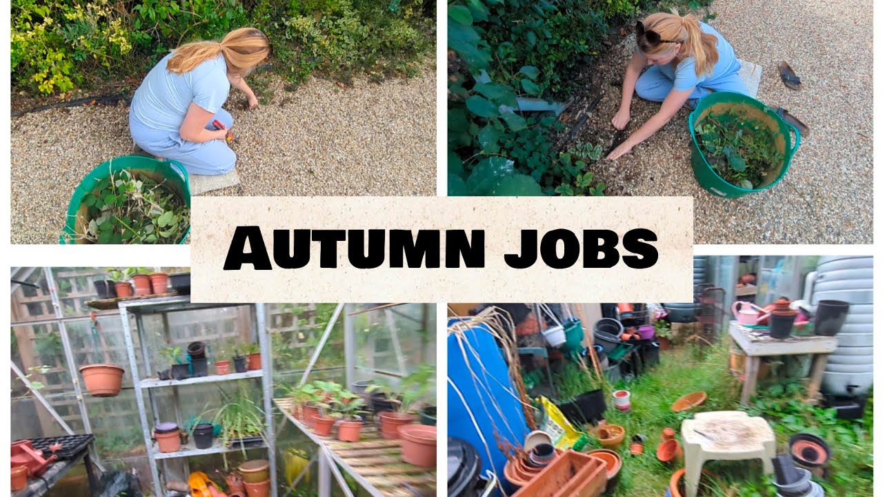 Catching up on end of summer, start of Autumn 🍁🍁 jobs #gardening #englishgarden #autumn 