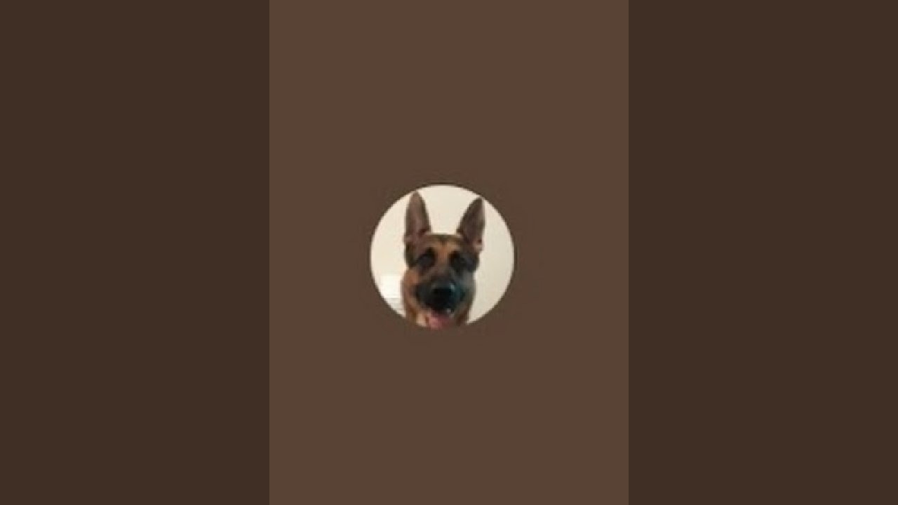 buddy  and family is live!