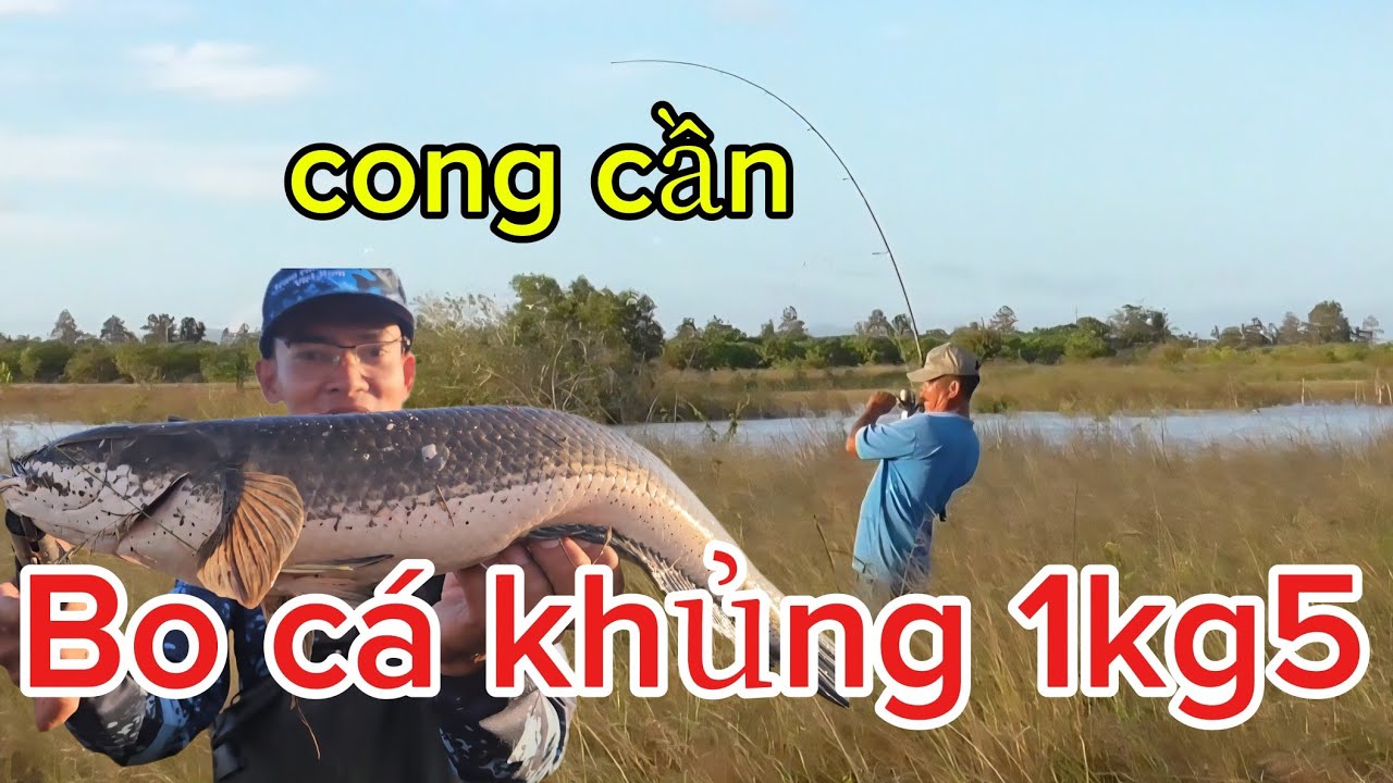 Câu cá lóc daklak cần haruan tải tĩnh 7kg bảo hành 6 tháng báo cá quá phê p1 huynhvananfishing