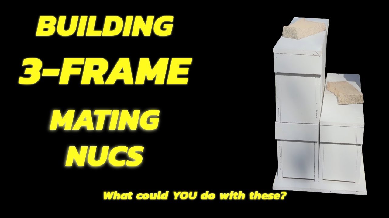 3-Frame Mating Nucs