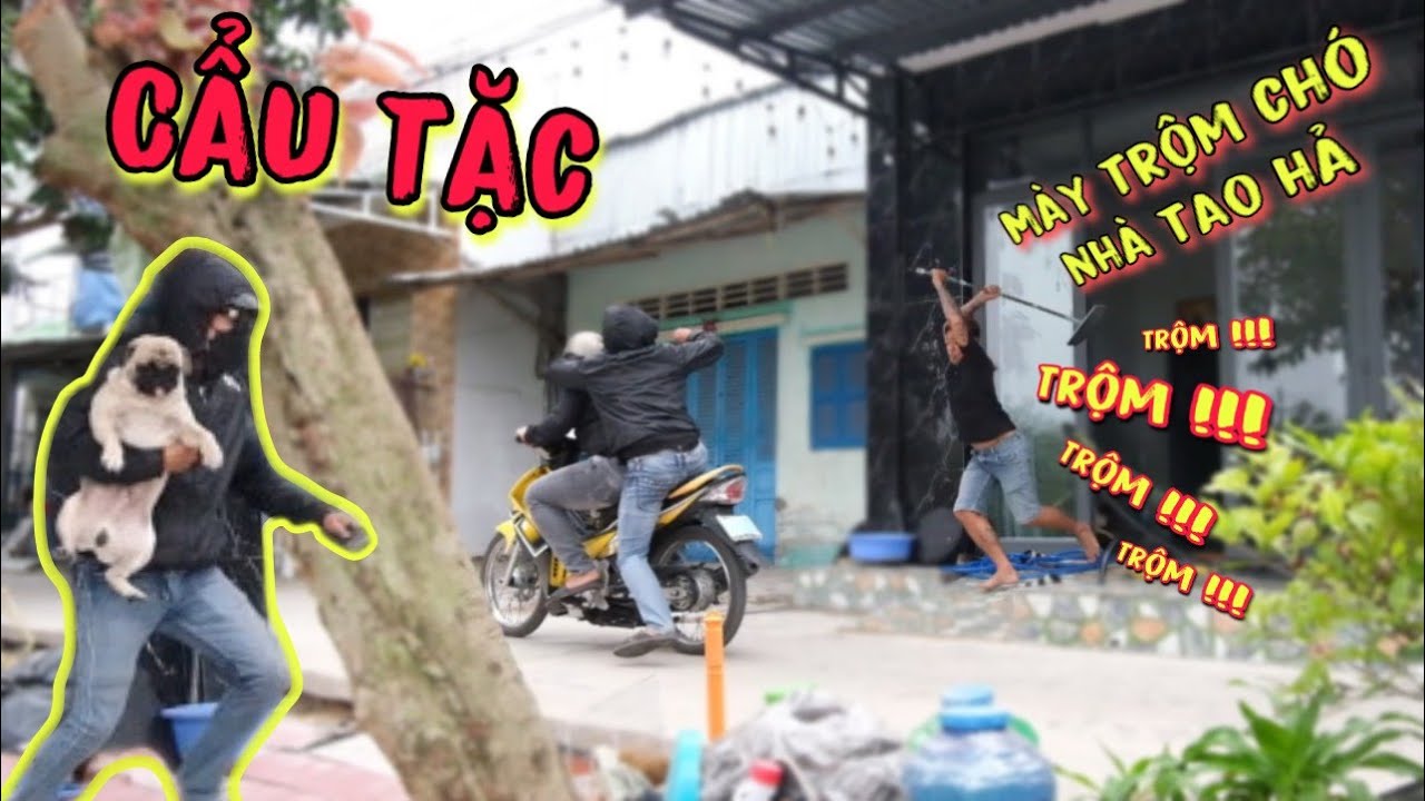 TNB - Thanh Niên Ở Nhà Một Mình Vô Tình Gặp Hai Tên Cẩu Tặc Và Cái Kết
