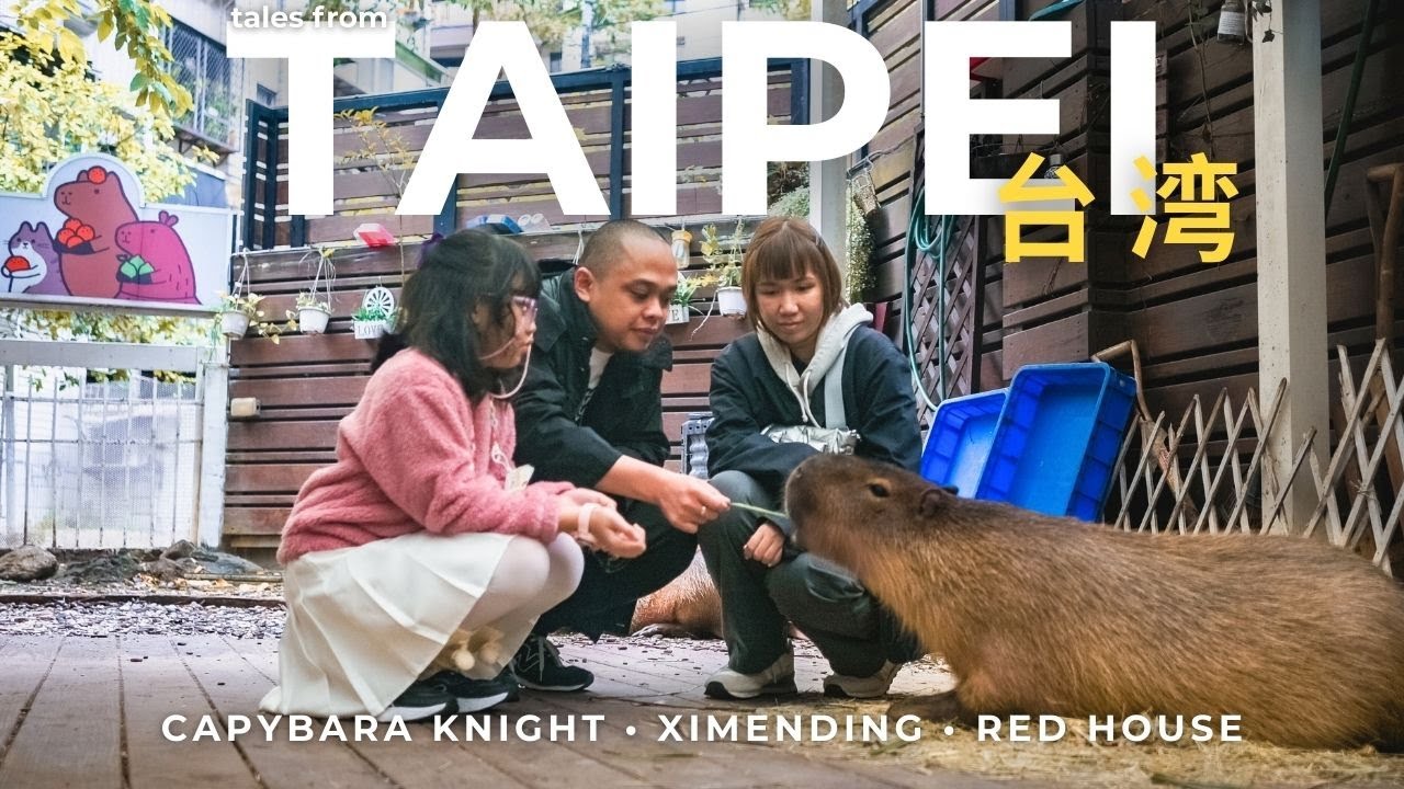 Taiwan Travel Vlog | Taipei: Capybara Knight, Ximending, The Red House, 2nd Street, Themed 7-Eleven