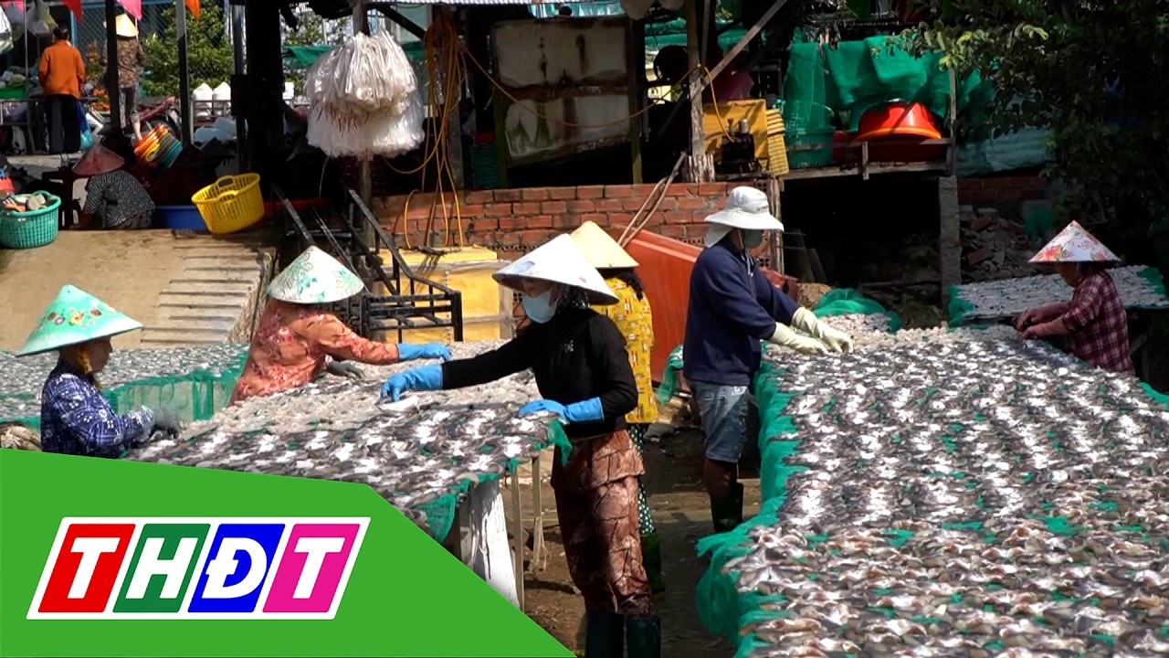 Làng nghề chế biến thủy sản nhộn nhịp ngày cuối năm | Thủy sản hội nhập - 12/2/2026 | THDT