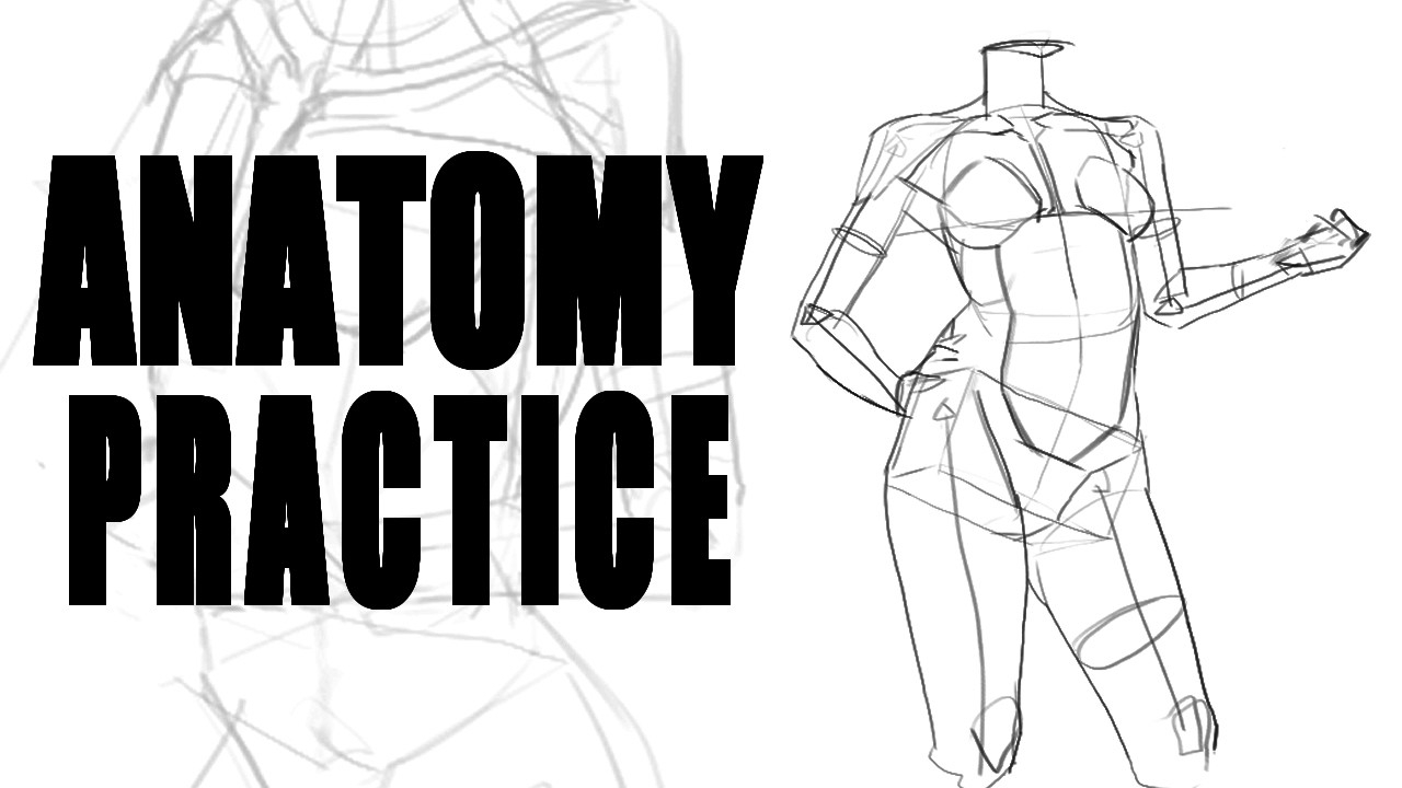 anatomy sketching + posing practice